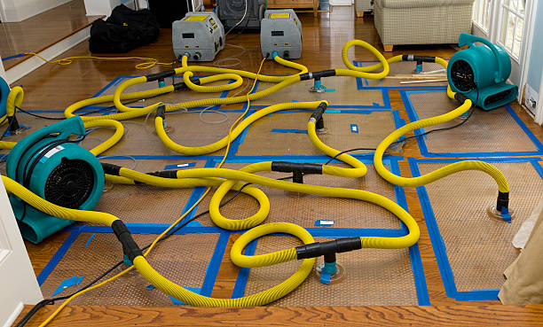 Professional Water Damage Restoration technician working in Marion, TX